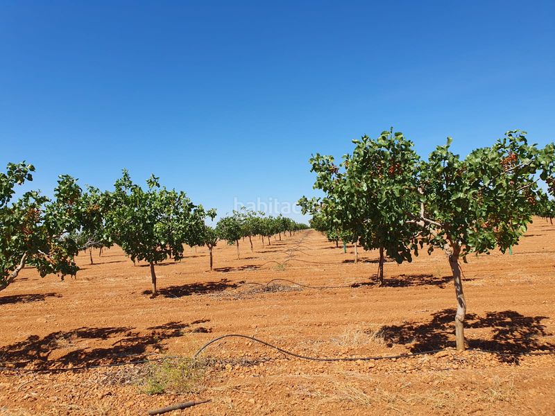 Foto b3594983-1ced-4378-832e-210839442354. Finca rústica en La Reconquista Toledo