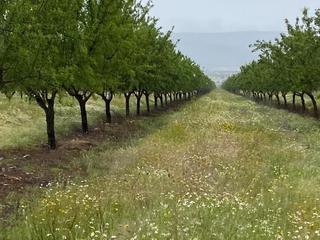 Finca rústica a Los Cigarrales-La Bastida. Finca 1000 hectareas en montes de toledo