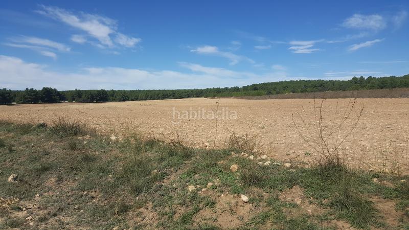 Foto 2fc5a9ef-9a24-4207-baa8-896f87ff52a3. Finca rústica a Almansa