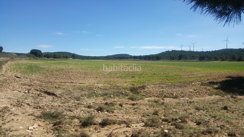 Foto 725038c2-94e1-4b06-9a76-2b9c2f784b63. Finca rústica a Almansa