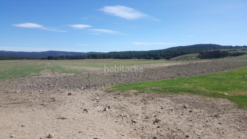 Foto 8de6a99a-5874-474d-b203-70b4fff17ced. Finca rústica a Almansa