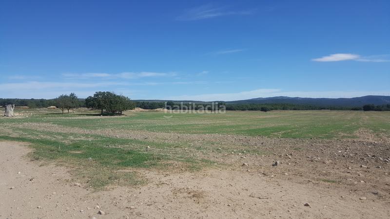 Foto b5425ddd-2a6d-4b22-8ff4-f5b68647f0c6. Finca rústica a Almansa