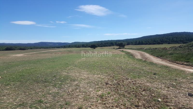 Foto bb1749d1-2755-4375-b343-144d3847b0fc. Finca rústica a Almansa