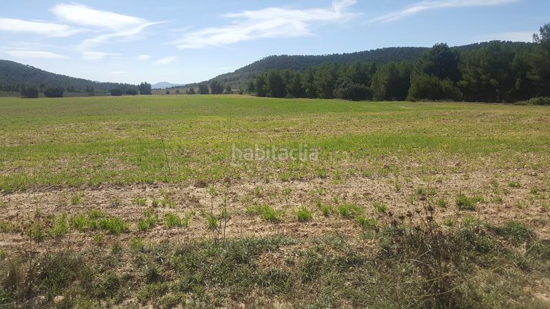 Foto e68611ad-3803-450f-ae2d-fbeaac47bb2a. Finca rústica a Almansa