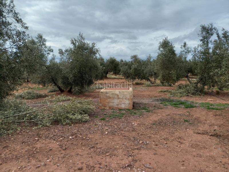 Foto 38c56325-b051-496b-a93a-0bac07b28db9. Finca rústica a Montizón