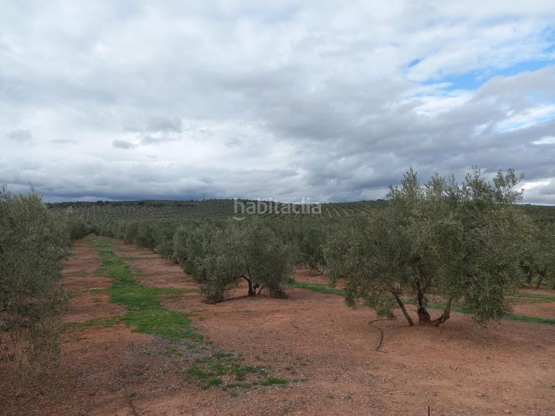 Foto 71a05d5c-8315-4465-bc0a-454cf763bd0c. Finca rústica a Montizón