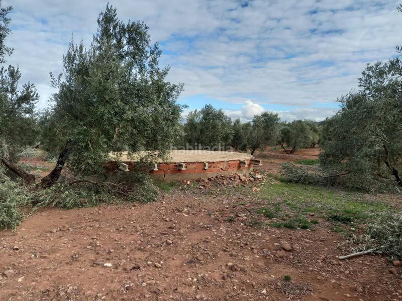 Foto 94072fe1-fe10-4ad5-808a-b553ff393c35. Finca rústica a Montizón