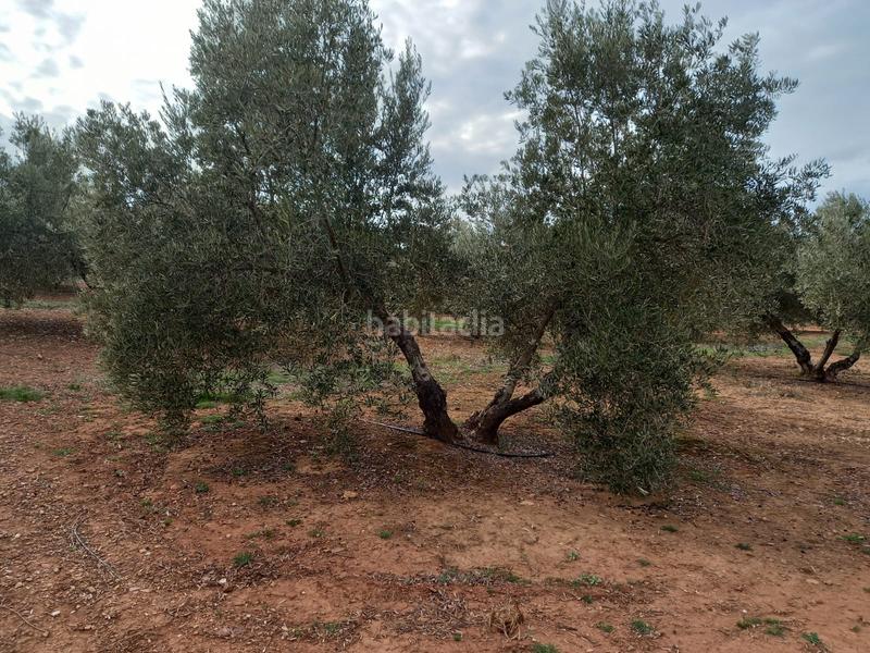 Foto 9d1be15c-4c78-493a-946f-38d7d6f6f17d. Finca rústica a Montizón