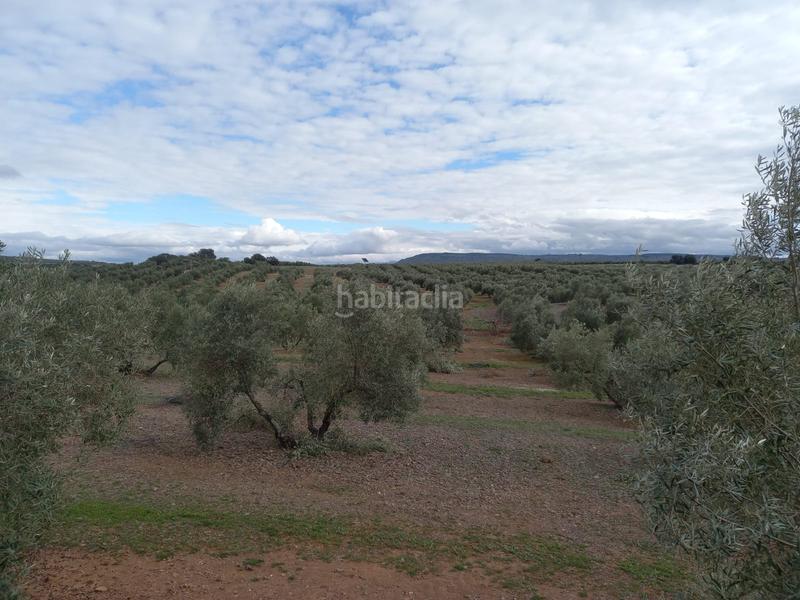 Foto af4f6aed-234f-4921-b74f-25d1edf4c475. Finca rústica a Montizón