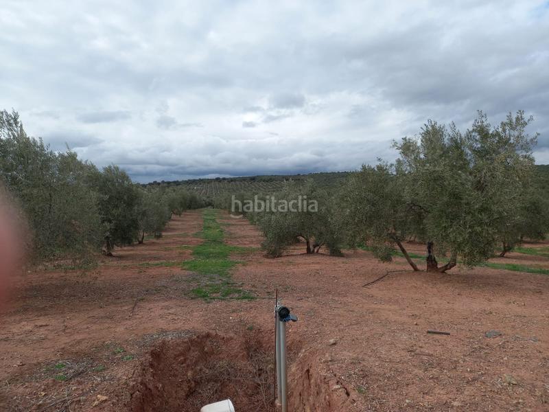 Foto e74c7aad-073c-47c5-a9c9-888f3c476872. Finca rústica a Montizón