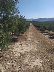 Fondo rustico in Úbeda. Finca de 95 hectareas zona ubeda