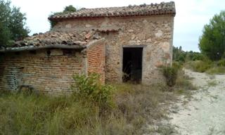 Finca rústica a Cofrentes. Finca de 2,5 hectareas en cofrentes