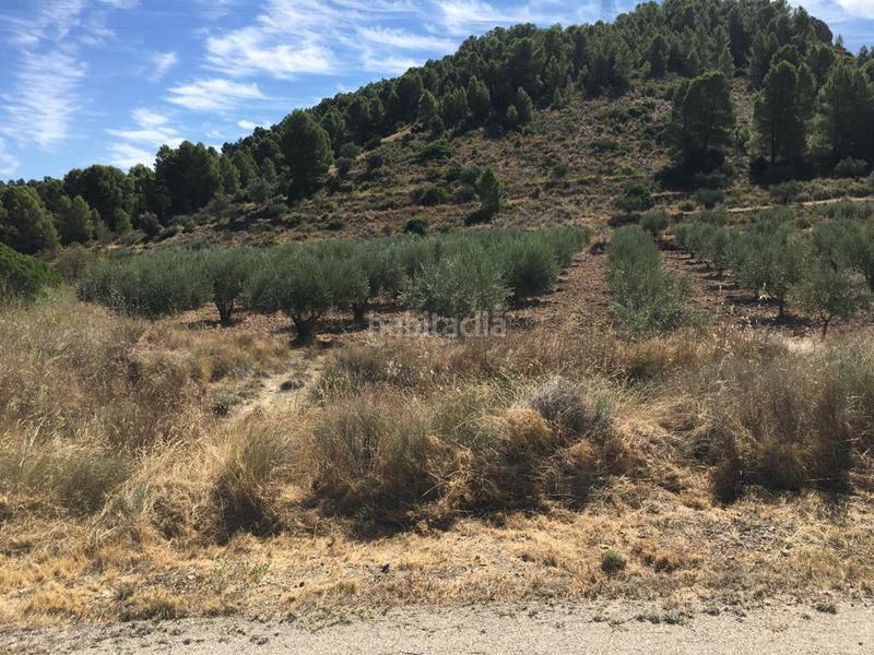 Foto 1f8cc191-a242-4169-bfef-99a2e6d183dc. Fondo rustico in Cofrentes