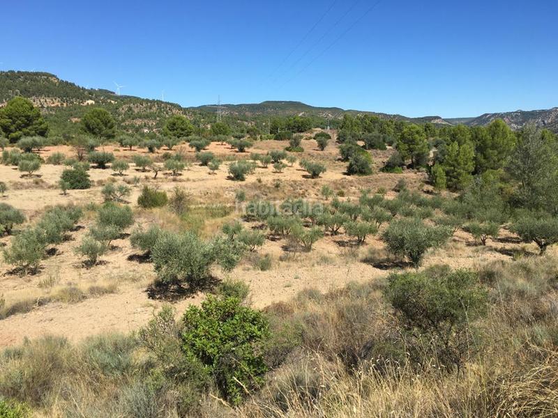 Foto 7585e98c-9c24-4e96-b807-b4028bf1b488. Fondo rustico in Cofrentes