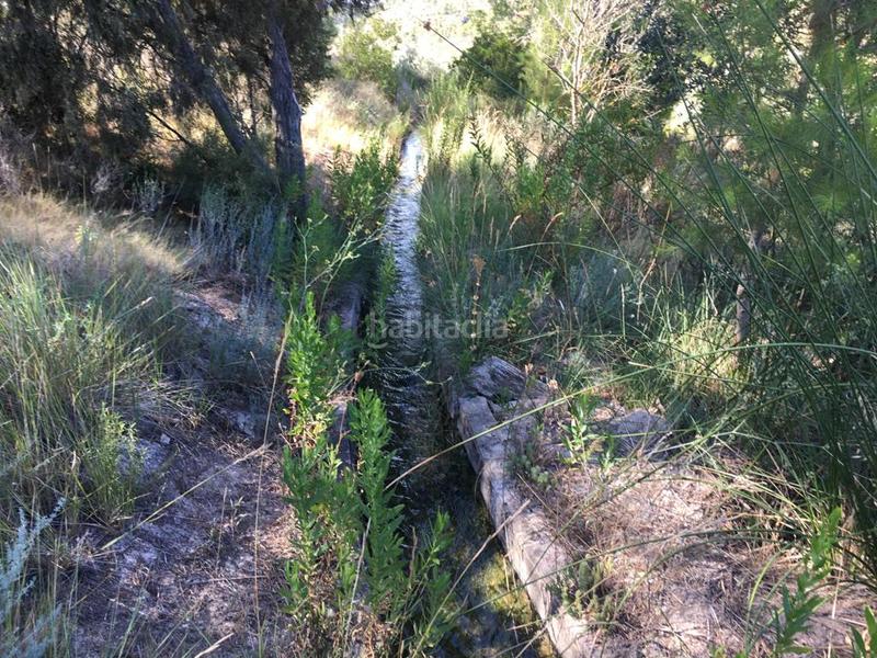 Foto fcb77782-d552-4070-a167-741fffad02b8. Fondo rustico in Cofrentes