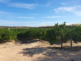 Propriété à Cuevas del Almanzora Pueblo. Finca de 80 hectareas ecologico en cuevas de almanzora