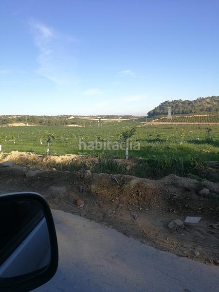 Foto 47745676-4ede-4d8b-8c7b-a0989e23731a. Finca rústica finca de 470 hectareas citricos en Orihuela ciudad Orihuela