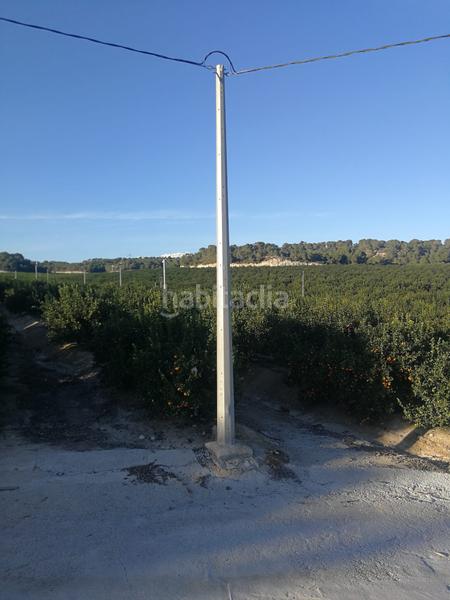 Foto 4db39fd5-1f7c-4583-8943-16327dd7f6c4. Finca rústica finca de 470 hectareas citricos en Orihuela ciudad Orihuela