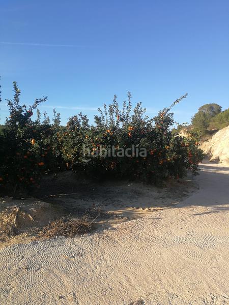 Foto 5d45e215-6c03-4c5a-92be-d6e6f43f0a6a. Finca rústica finca de 470 hectareas citricos en Orihuela ciudad Orihuela