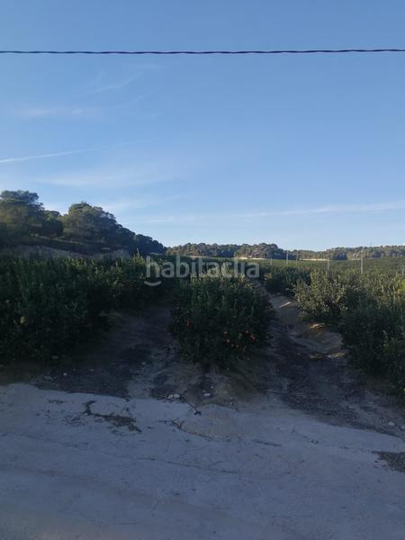 Foto a17b1988-cb94-4a01-8a97-5a08b09af1c4. Finca rústica finca de 470 hectareas citricos en Orihuela ciudad Orihuela