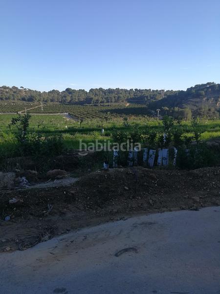 Foto e1fc2a87-b44f-4155-bc64-1bc6ce0c14f4. Finca rústica finca de 470 hectareas citricos en Orihuela ciudad Orihuela