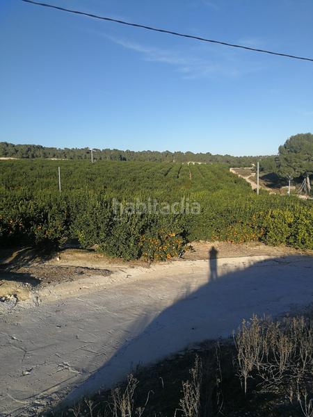 Foto e97fd357-8ede-4ec3-a94f-1ab9556d9d2d. Finca rústica finca de 470 hectareas citricos en Orihuela ciudad Orihuela