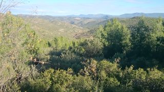 Rural plot in San Fernando - Carretera de Valencia. Finca rustica de 1789 hectareas en cuenca