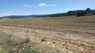 Finca rústica a Puerta de Toledo - Atalaya. Finca de 515 hectareas regadio en ciudad real