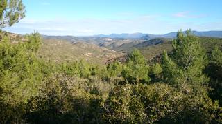 Fondo rustico in Casco Histórico. Finca 1789 hectareas en cuenca