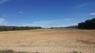 Landgut in Pedanías - Extrarradio. Finca 1100 hectareas en albacete