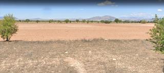 Finca rústica a Puerta de Toledo - Atalaya. Finca 2000 hectareas secano en ciudad real