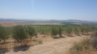 Finca rústica a Tobarra. Finca de 490 hectareas regadio en tobarra
