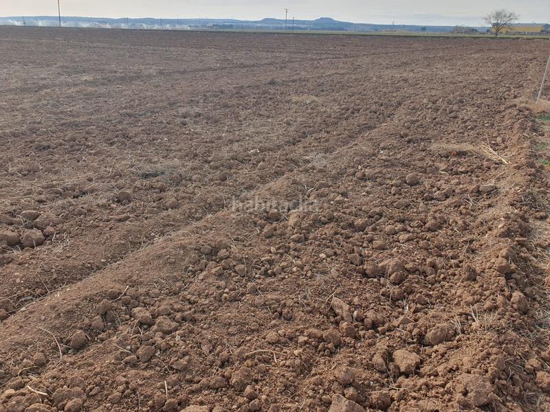 Foto 7913fba6-bad8-4398-b41b-6ca041cceab9. Propriété dans El Rabal Villena