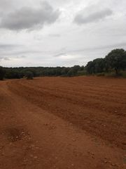 Rural plot in Quintanar de la Orden