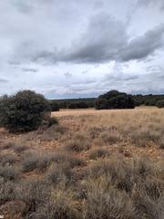 Finca rústica a Bonillo (El). Finca de 472 hectareas en osa de montiel