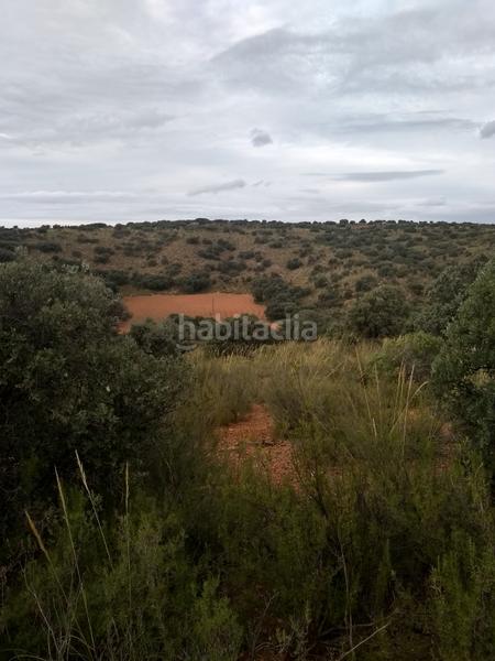 Foto ba4cc4a7-f76f-4e91-8d40-0d79f6b90fe8. Finca rústica finca de 472 hectareas en osa de montiel en Bonillo (El)