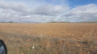 Finca rústica a La Florida - Vistalegre. Finca de 880 hectareas regadio en huejva