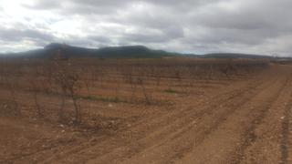 Finca rústica a N/a. Finca de 1387 hectareas en osa de montiel