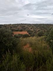 Landgut in Pedanías - Extrarradio. Finca ganadera de 2442 hectareas en albacete