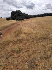 Landgut in Pedanías - Extrarradio. Finca de 850 hectareas regadio en albacete