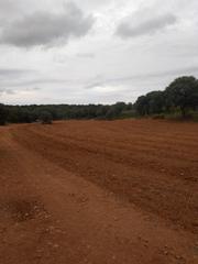 Propriété à N/a. Finca 1400 hectareas cerca de manzanares