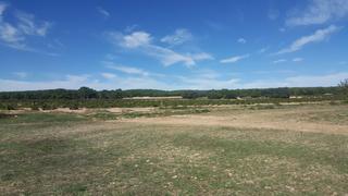 Propriété à Pinoso. Finca  220 hectareas especial hidrogeno o solar