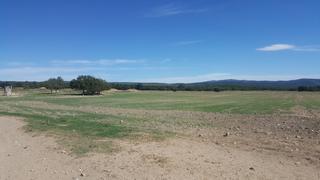 Finca rústica a N/a. Finca de 527 hectareas regadio en tobarra