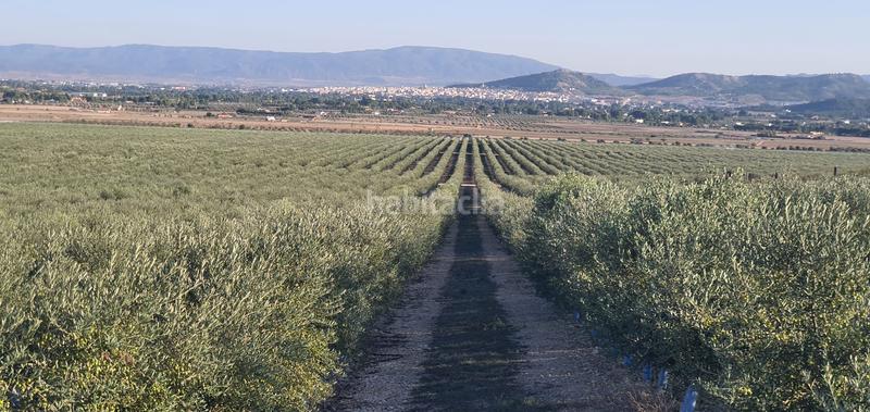 Foto 0944f2b1-70cf-4907-9843-d5dcd14e86b5. Finca rústica a Alcántara
