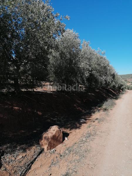 Foto bdddbe24-5528-41a4-be33-d879795d24d9. Finca rústica a Alcántara