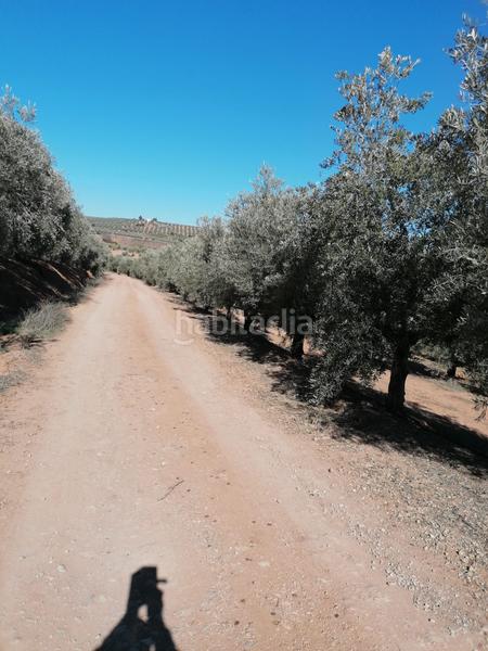 Foto ee662c7d-e2cc-405b-a908-78f22ace1787. Finca rústica a Alcántara