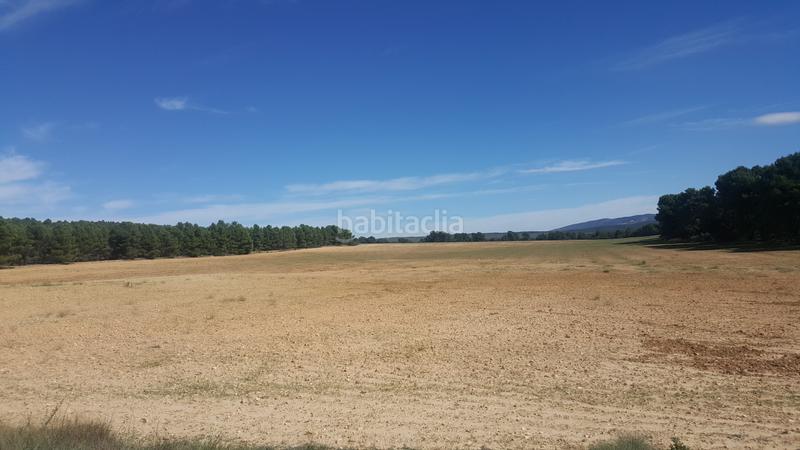 Foto c95e2d7b-1bd5-414b-8446-e04eff8bdb0e. Landgut in n/a in Bonillo (El)