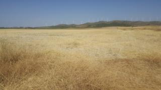 Finca rústica a N/a. Finca de 450 hectareas secano