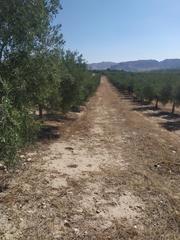 Finca rústica a N/a. Venta de finca de 210 hectareas zona ubeda