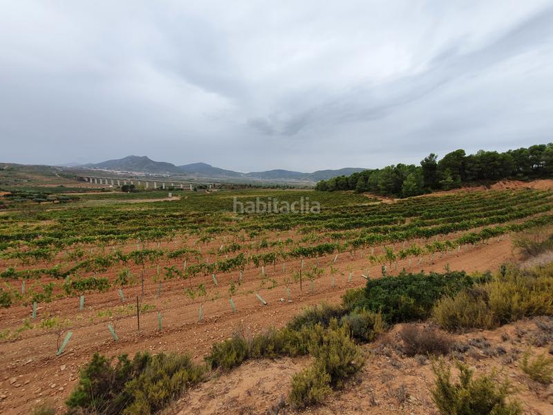 Foto 7aa9c299-865b-459f-a953-2c303c99722a. Finca rústica a avinguda de l'infant pere 16 a Falset